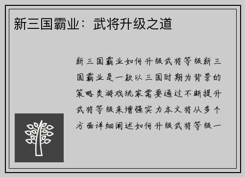 新三国霸业：武将升级之道